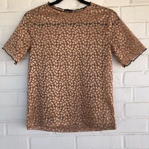 Zara Trafaluc S Pink Floral Lace Short Sleeve Top